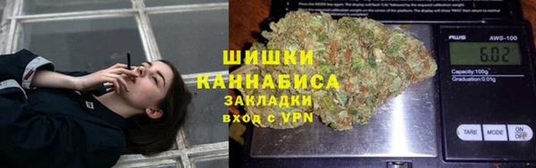 ПСИЛОЦИБИНОВЫЕ ГРИБЫ Балахна