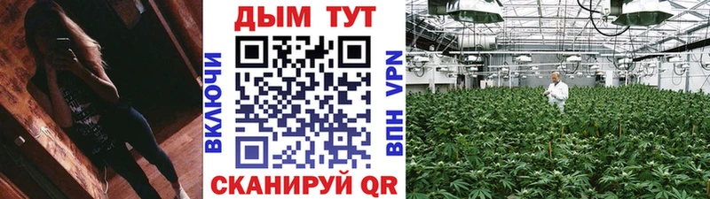 Конопля THC 21%  что такое   Вольск 
